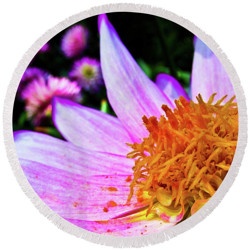 Flower Round Beach Towel featuring the photograph Macro by Cesar Vieira