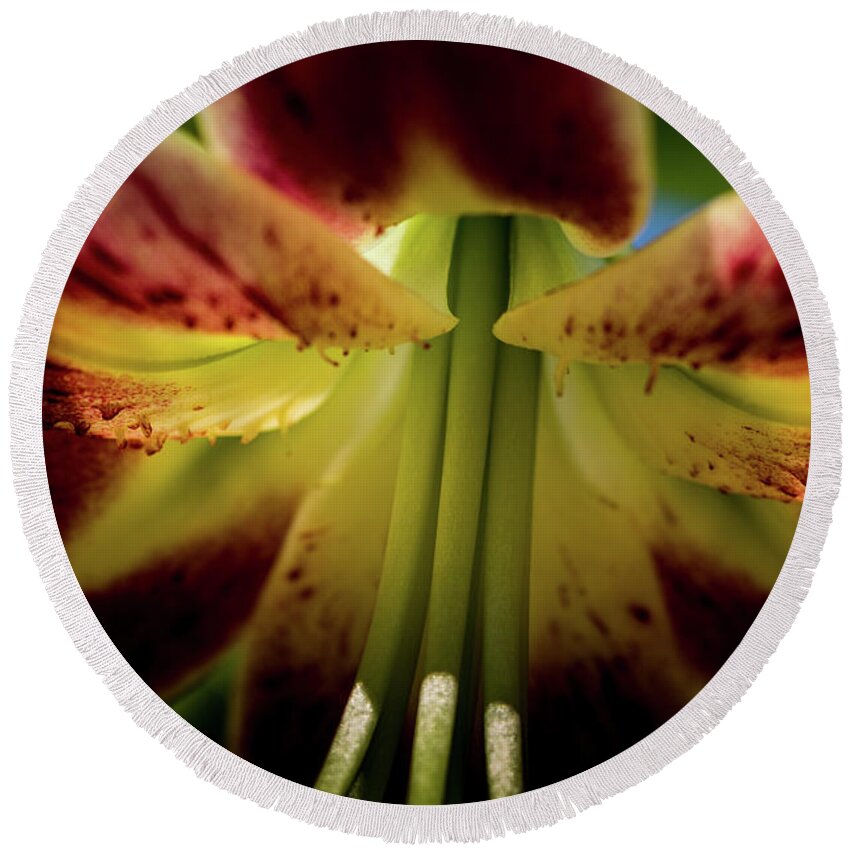 Jay Stockhaus Round Beach Towel featuring the photograph Macro Flower by Jay Stockhaus