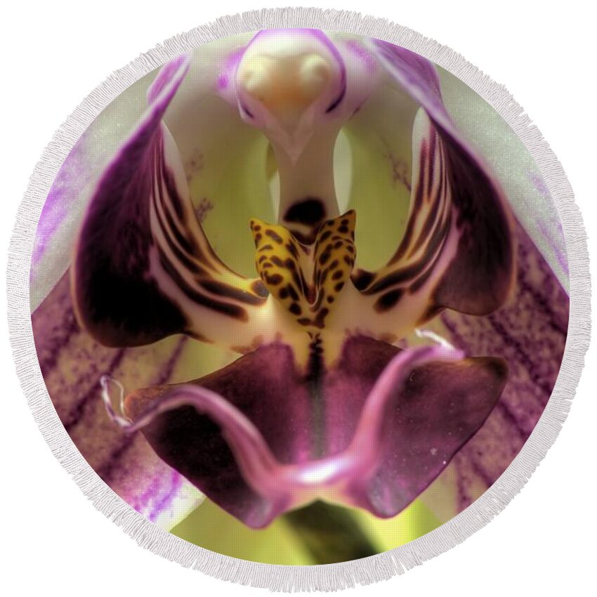 Hdr Round Beach Towel featuring the photograph Macro Orchid by Brad Granger