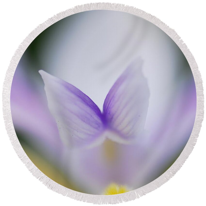 Flower Round Beach Towel featuring the photograph Madame Butterfly by Donna Blackhall