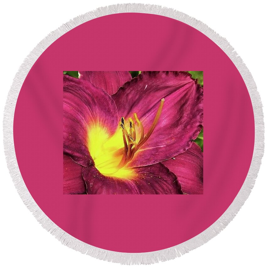 Flora Round Beach Towel featuring the photograph Magenta Prince Daylily by Bruce Bley