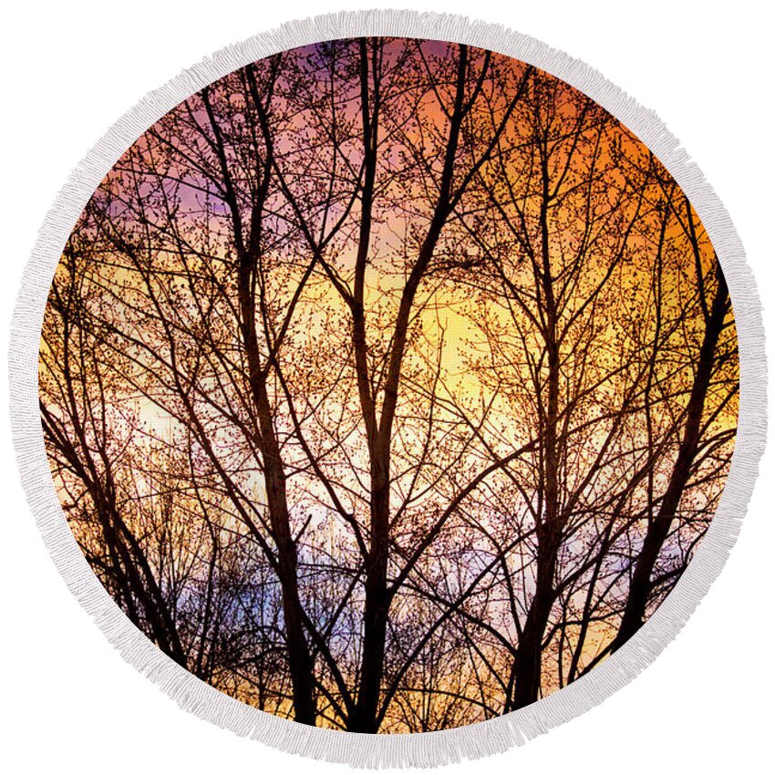 Silhouette Round Beach Towel featuring the photograph Magical Colorful Sunset Tree Silhouette by James BO Insogna