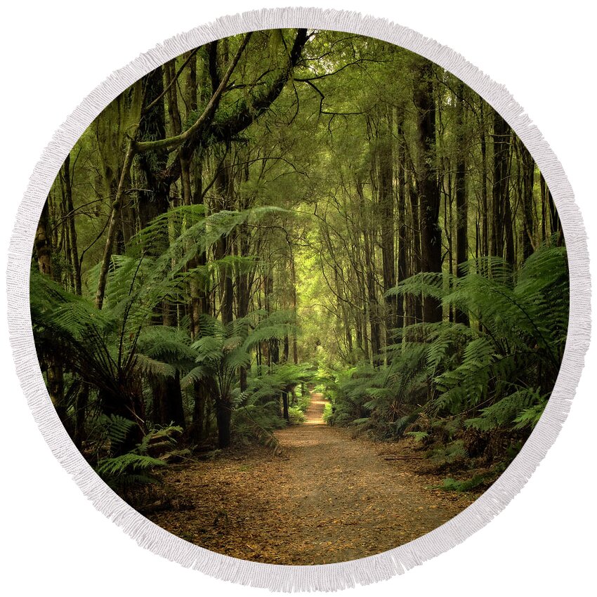 Rainforest Round Beach Towel featuring the photograph Magical Forest by Catherine Reading