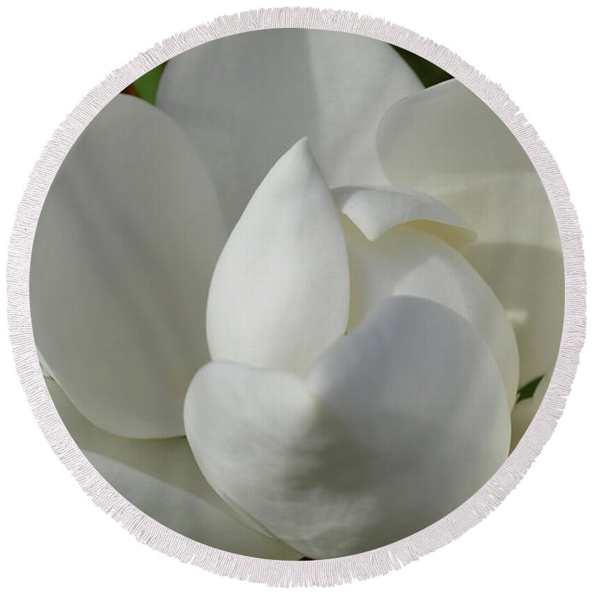 Flower Round Beach Towel featuring the photograph Magnolia Bloom by MHmarkhanlon