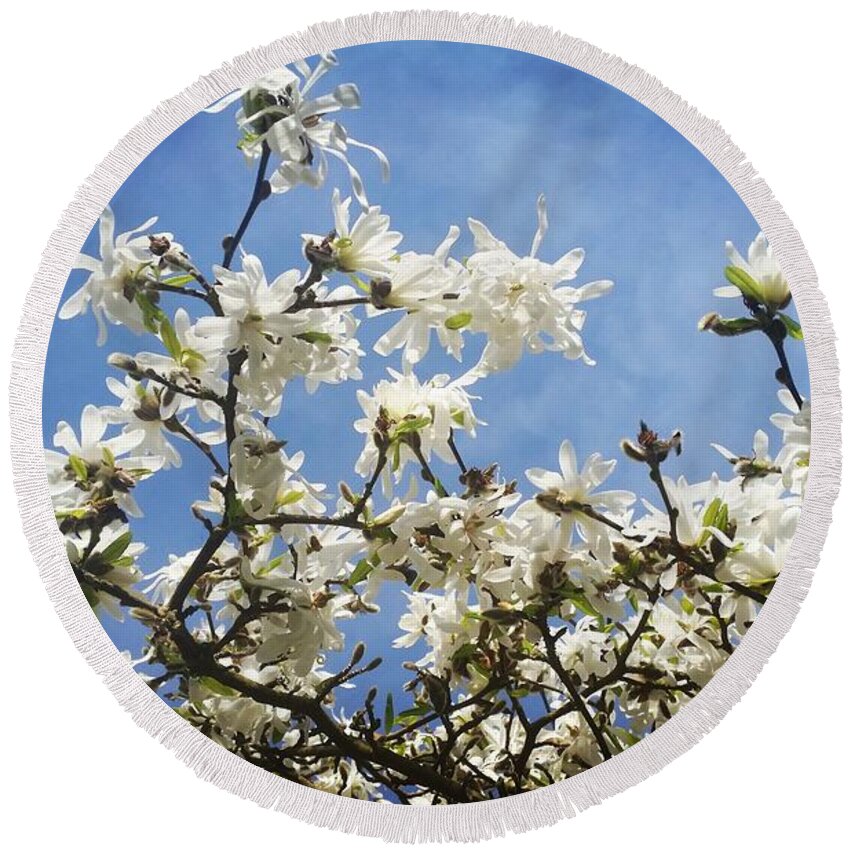 Magnolia Round Beach Towel featuring the photograph Magnolia Sky by Rowena Tutty