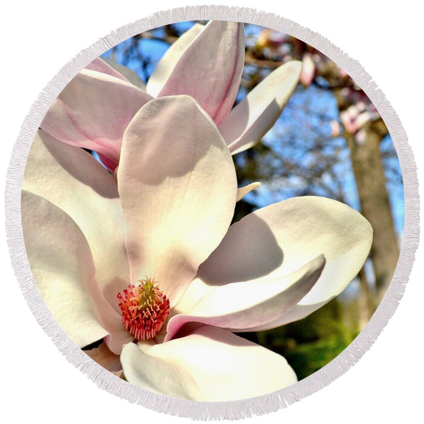 Magnolia Round Beach Towel featuring the photograph Magnolia by Susie Loechler