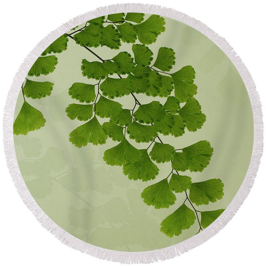 Leaves Round Beach Towel featuring the photograph Maiden Hair Fern With Shadows by Sandra Foster