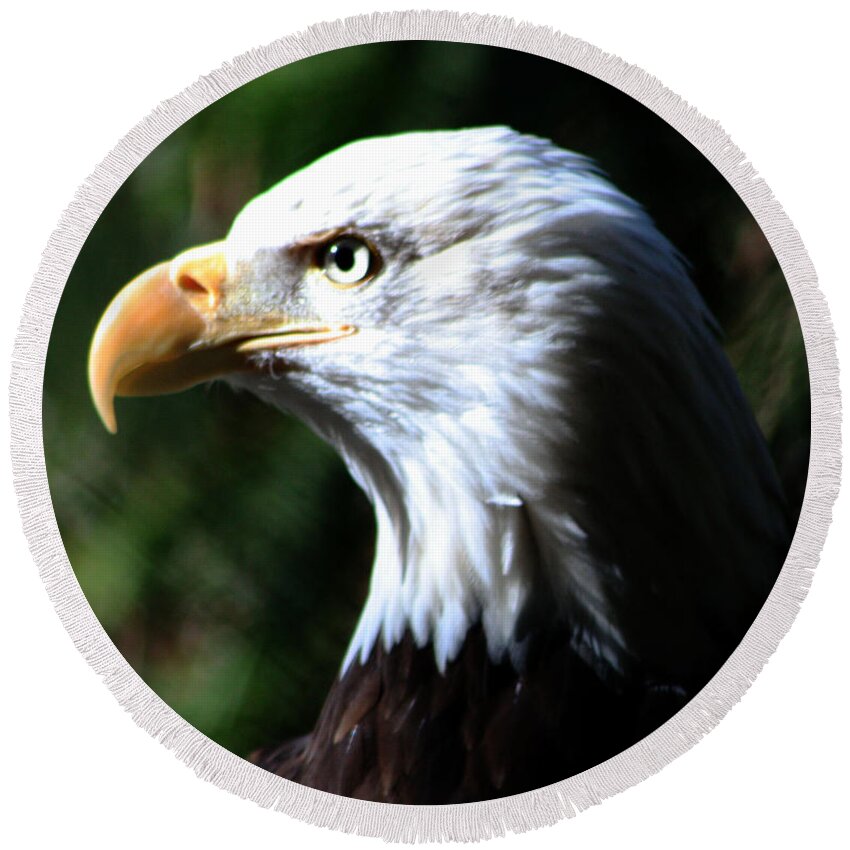Eagle Round Beach Towel featuring the photograph Majestic Bald Eagle by Nick Gustafson