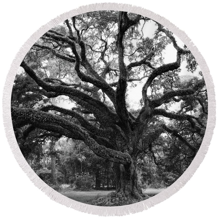 Trees Round Beach Towel featuring the photograph Majestic Oak by Richard Rizzo