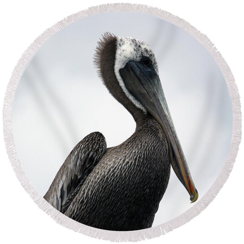 Animal Round Beach Towel featuring the photograph Majestic Pelican Photography A10317R by Mas Art Studio