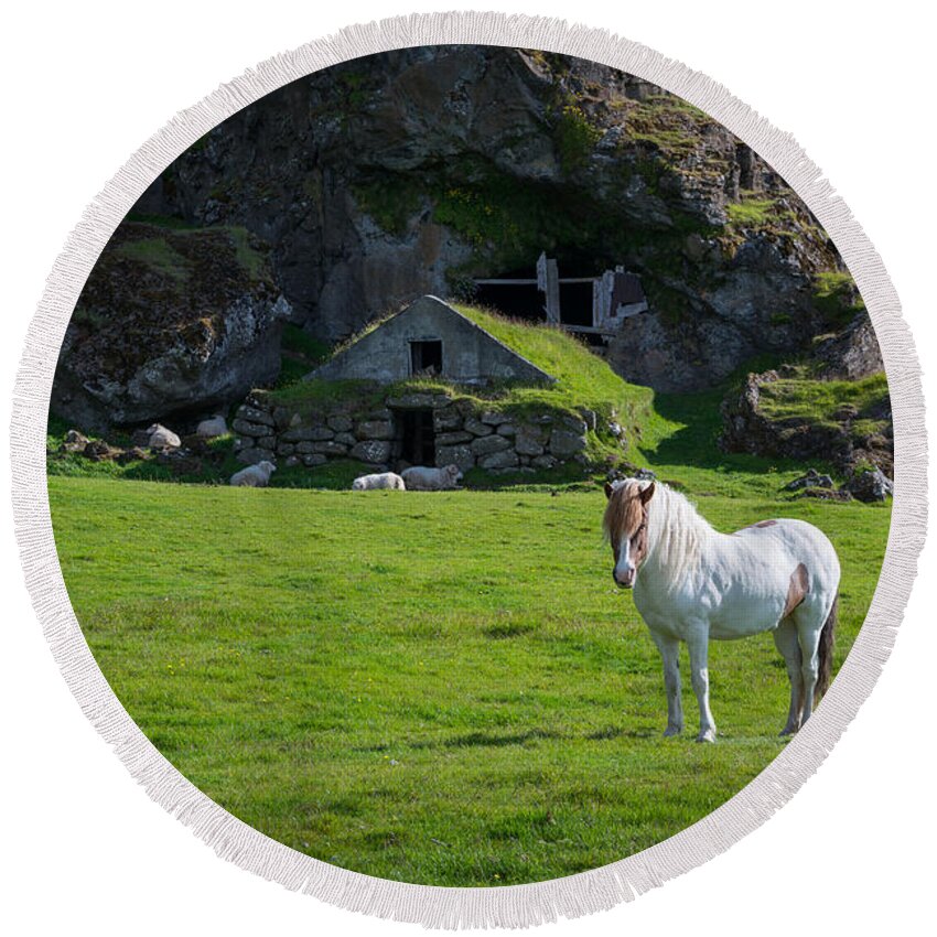 Icelandic Horse Round Beach Towel featuring the photograph Majestic White Horse In Iceland by Michael Ver Sprill