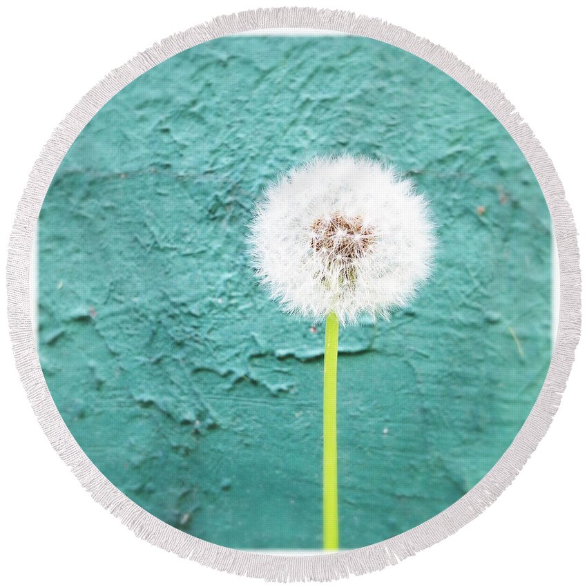 Dandelion Round Beach Towel featuring the photograph Make a Wish by Dorian Hill