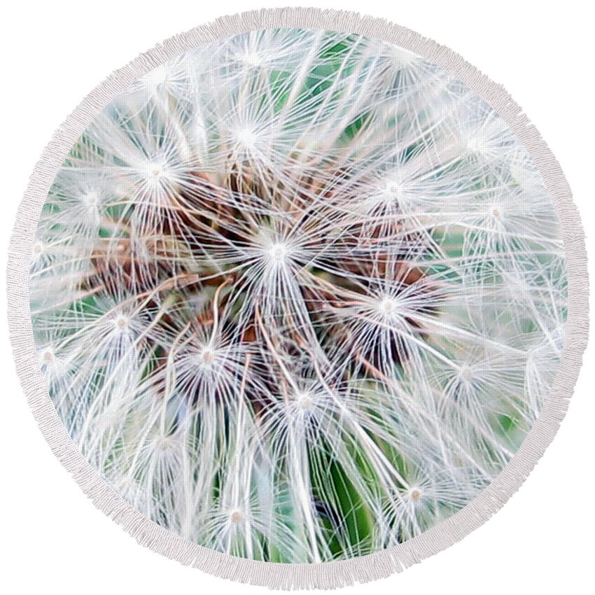 Dandilion Round Beach Towel featuring the photograph Make A Wish by Kelly Holm