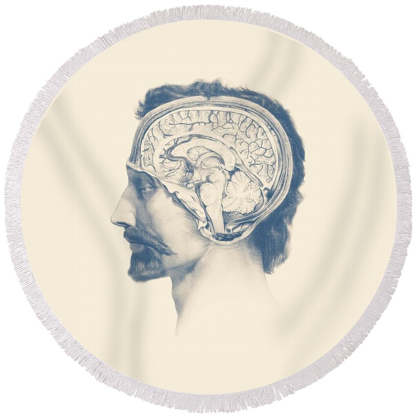 Thalamus Round Beach Towel featuring the mixed media Male Brain Anatomy - Side View by Vintage Anatomy Prints