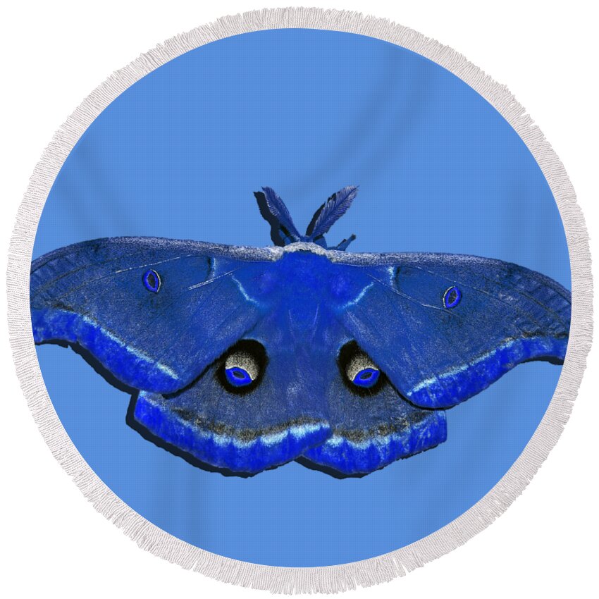 Polyphemus Moth Round Beach Towel featuring the photograph Male Moth Navy Blue .png by Al Powell Photography USA
