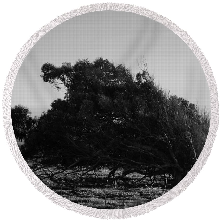 Blackandwhite Round Beach Towel featuring the photograph Malformed Treeline by Clayton Bruster