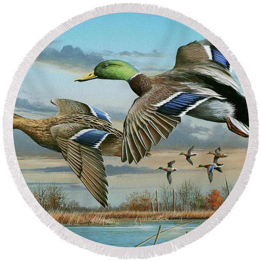 Ducks Round Beach Towel featuring the painting Mallards in Flight by Mike Brown