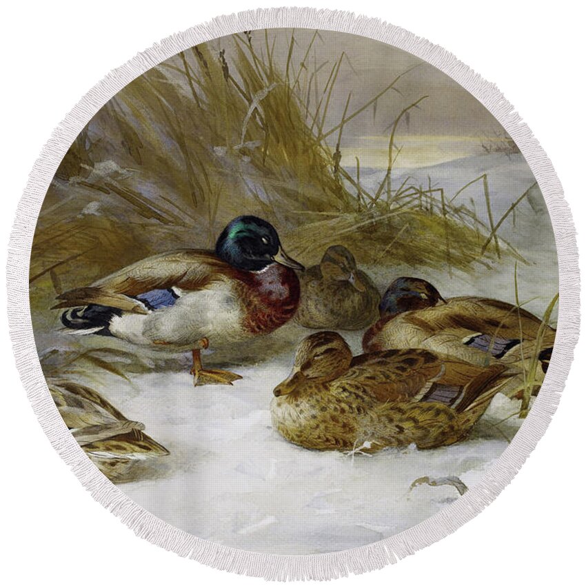 Mallards Round Beach Towel featuring the mixed media Mallards In The Winter Landscape by Thorburn by Movie Poster Prints