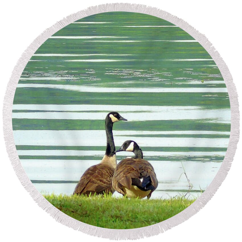 Wild Life Round Beach Towel featuring the photograph Mama and Papa Goose by Susan Lafleur