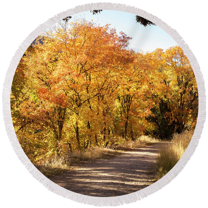 Maple Dell Round Beach Towel featuring the photograph Maple Dell in Autumn by K Bradley Washburn