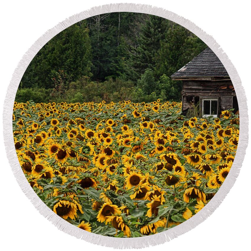 Flower Round Beach Towel featuring the photograph So Many Faces by Terry Doyle