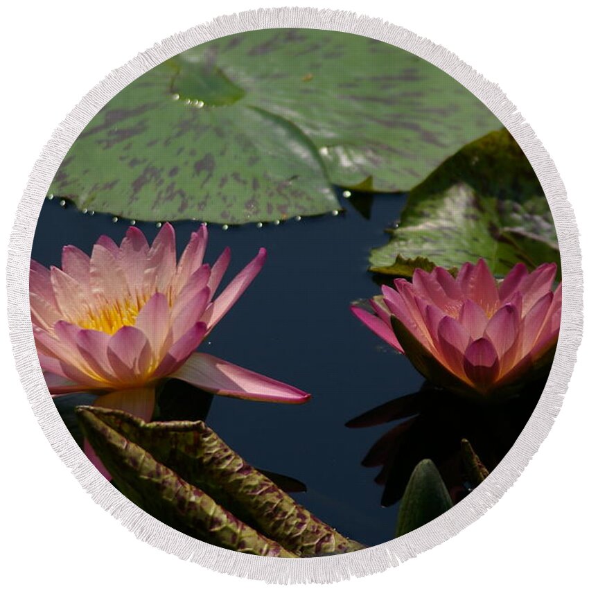 Mauve Round Beach Towel featuring the photograph Mauve Lotus Waterlily by Jackie Irwin