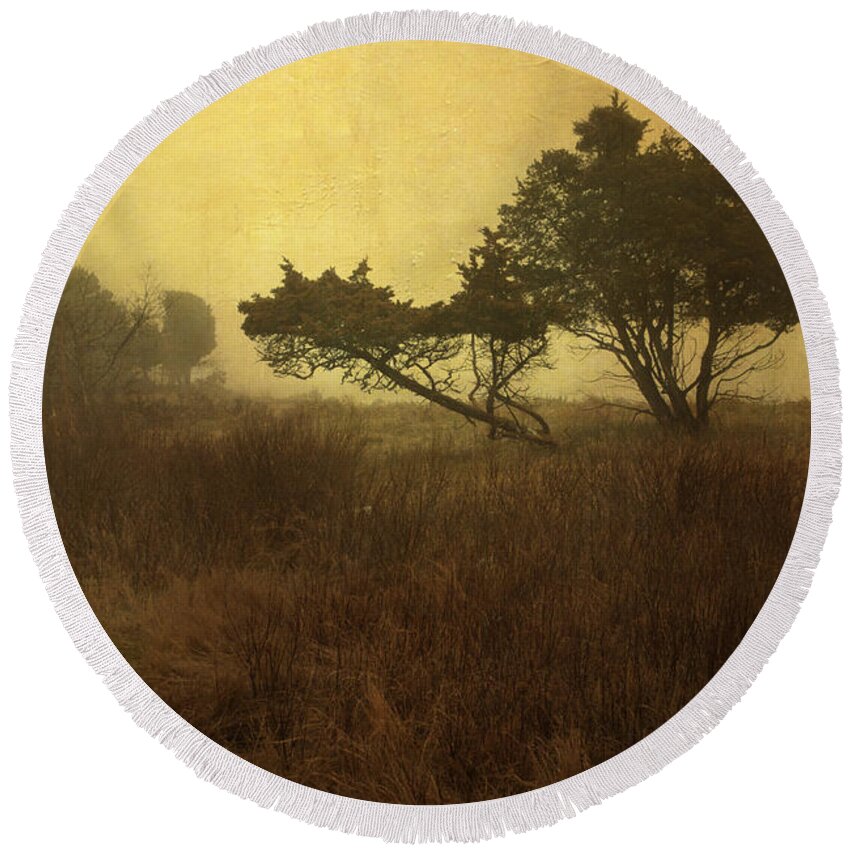 Tree Round Beach Towel featuring the photograph Meadow and Trees by David Gordon