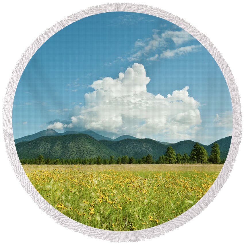Arizona Round Beach Towel featuring the photograph Meadow of Sunflowers and the San Francisco Peaks by Jeff Goulden