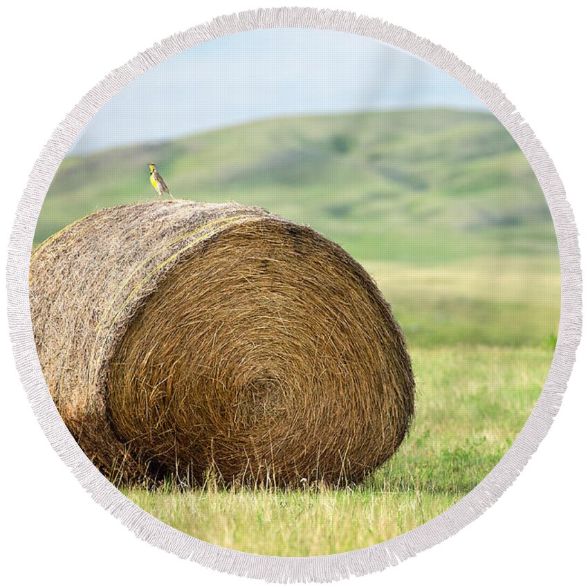 Round Bale Round Beach Towel featuring the photograph Meadowlark Heaven by Todd Klassy