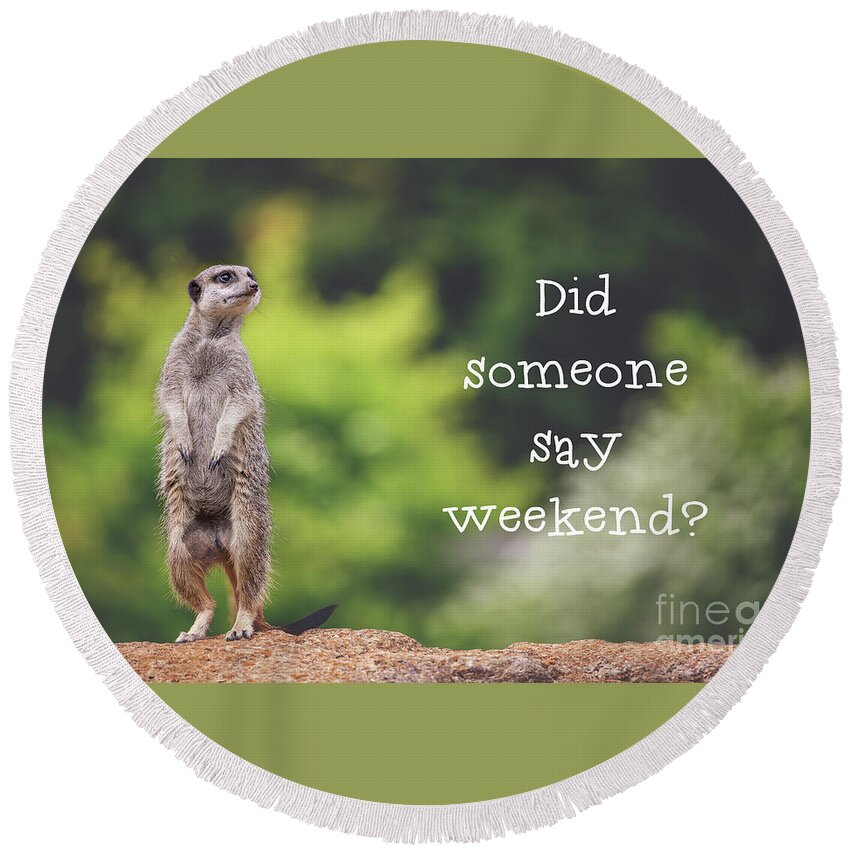 Meerkat Round Beach Towel featuring the photograph Meerkat asking if it's the weekend yet by Jane Rix