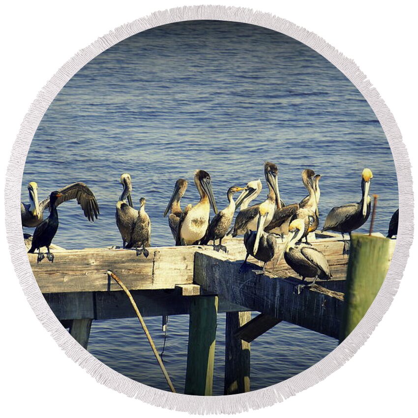Pelicans Round Beach Towel featuring the photograph Meeting of the Minds by Laurie Perry