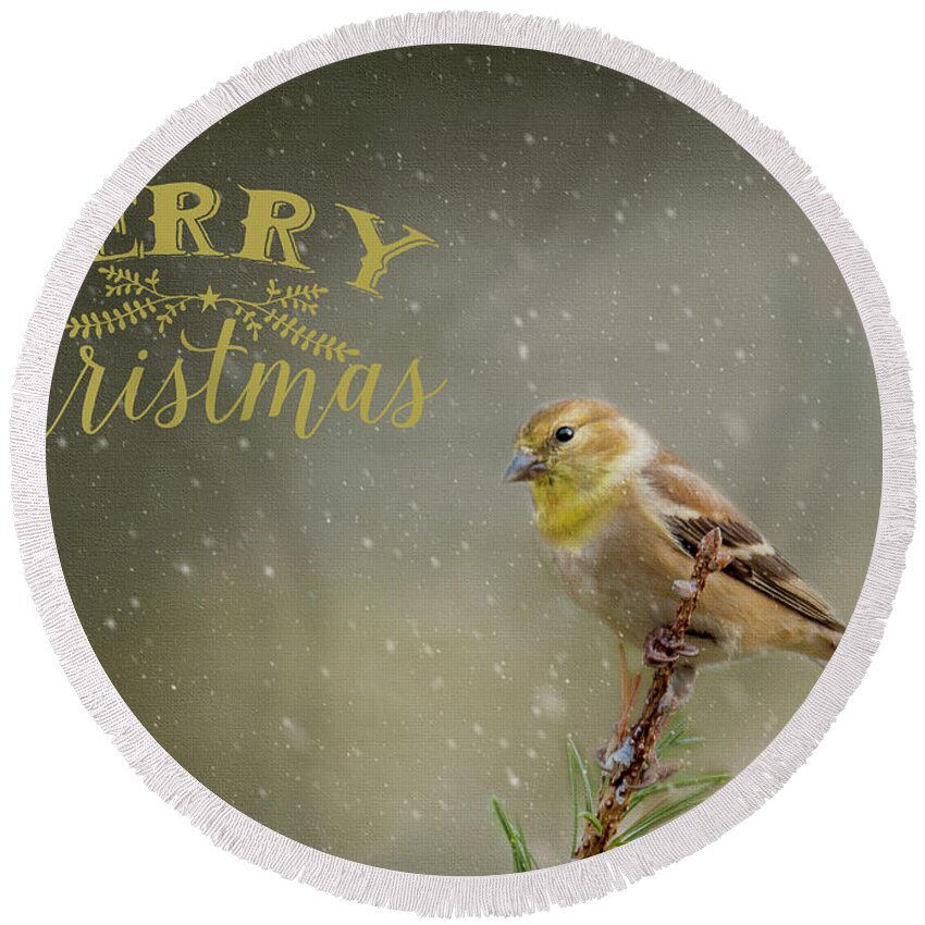 Winter Round Beach Towel featuring the photograph Merry Christmas Winter Goldfinch 1 by Cathy Kovarik