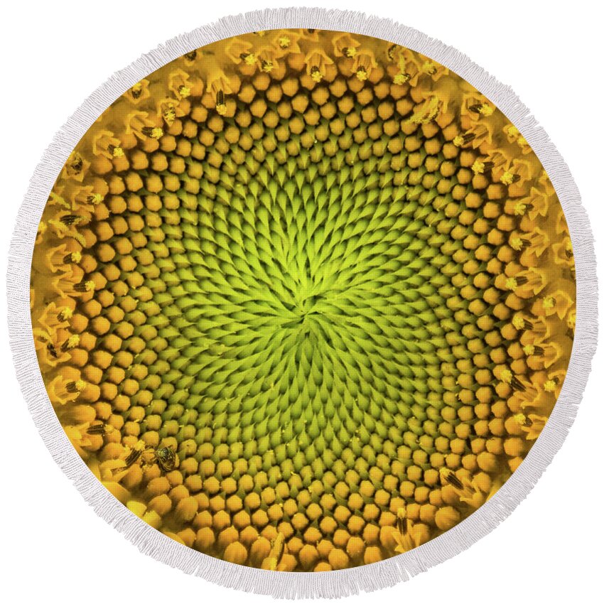 Yellow Round Beach Towel featuring the photograph Mesmerizing by Bill Pevlor