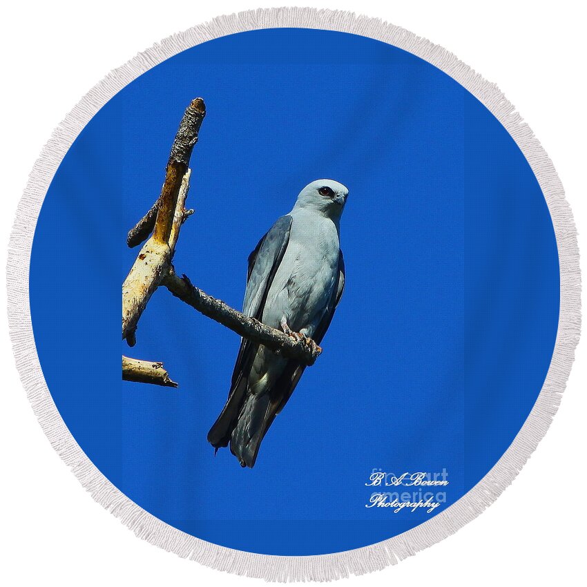 Mississippi Kite Round Beach Towel featuring the photograph Mississippi Kite by Barbara Bowen