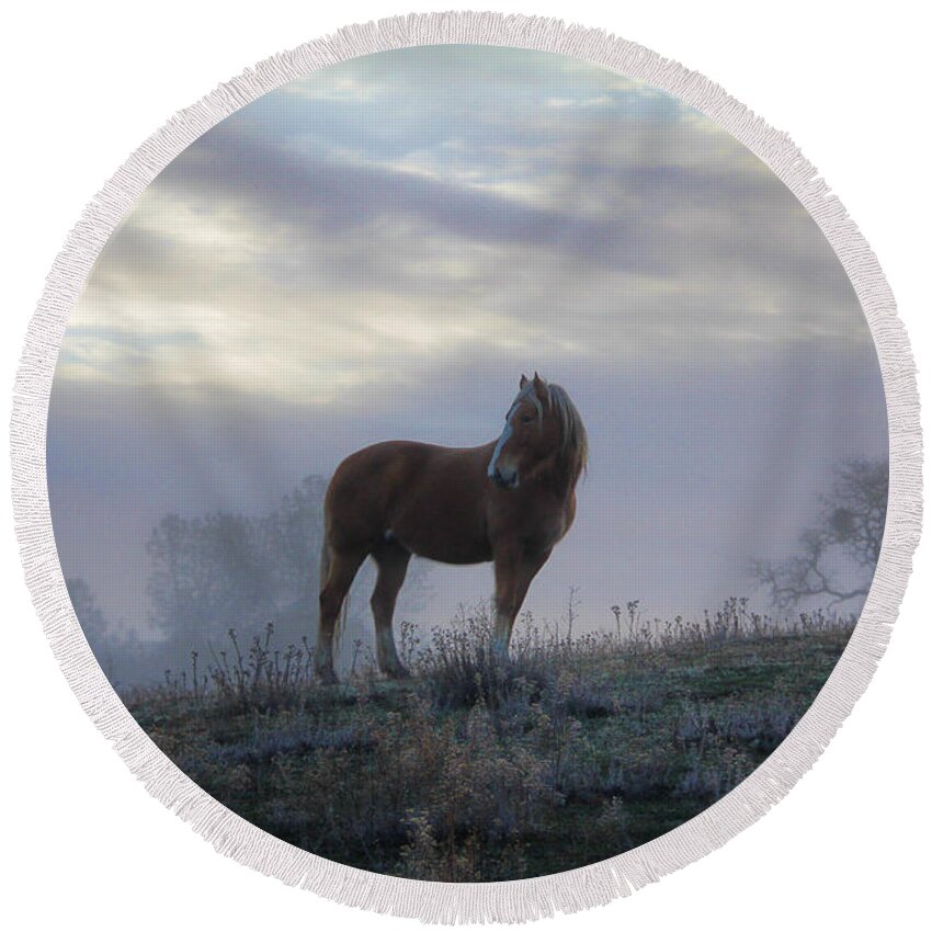Horse Round Beach Towel featuring the photograph Misty Morning Palimino by Stephanie Laird