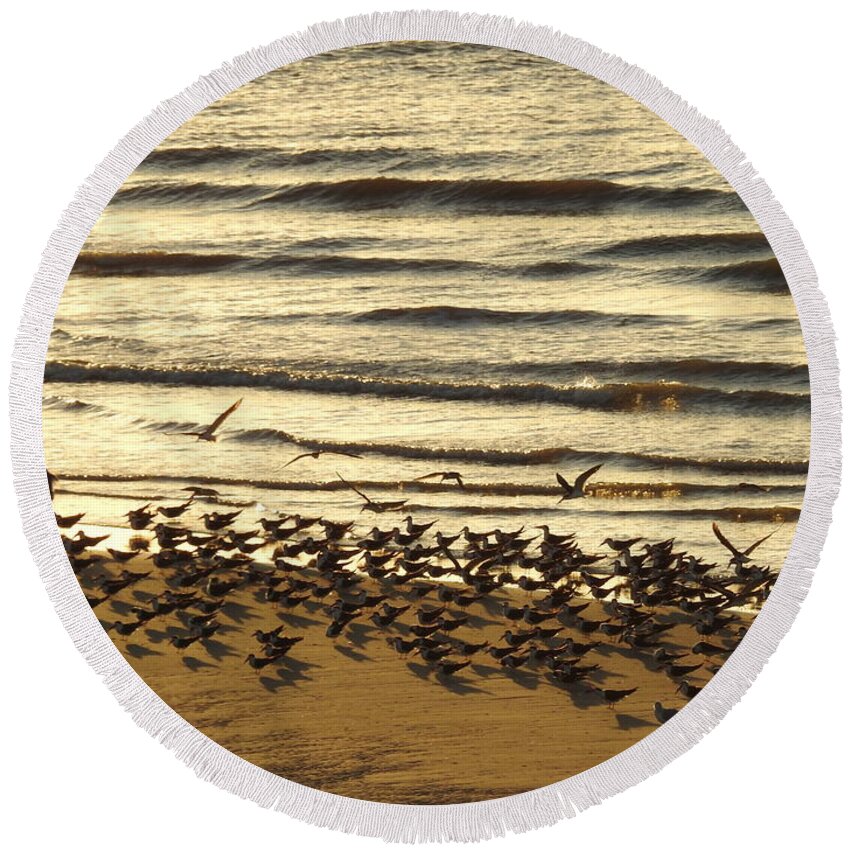 Coastal Birds Round Beach Towel featuring the digital art Momentous by Jan Gelders
