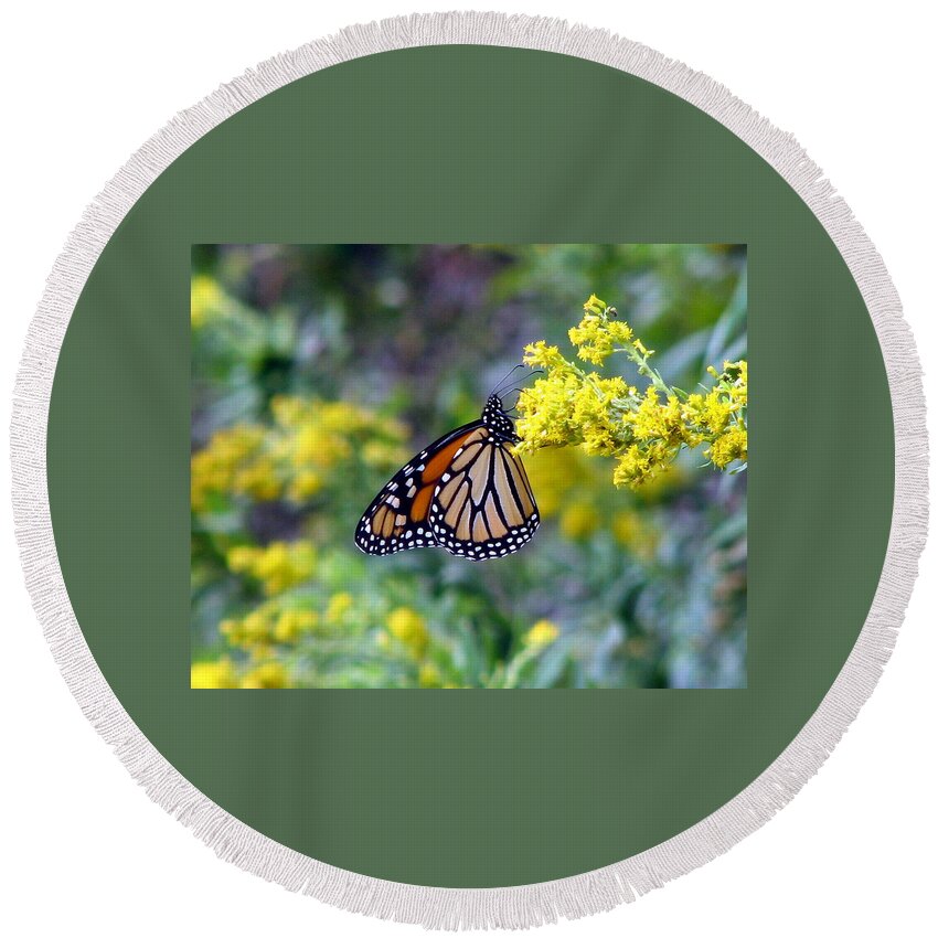 Monarch Round Beach Towel featuring the photograph Monarch on Goldenrod 1 by George Jones