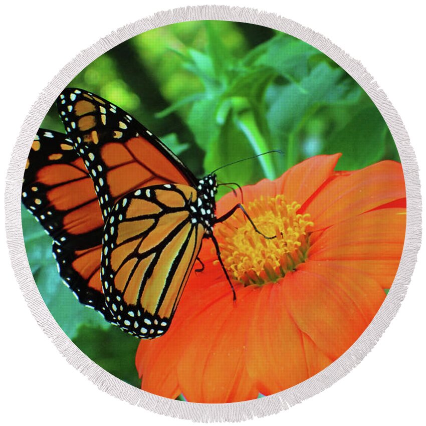 Monarch Round Beach Towel featuring the photograph Monarch on Mexican Sunflower by Nicole Angell