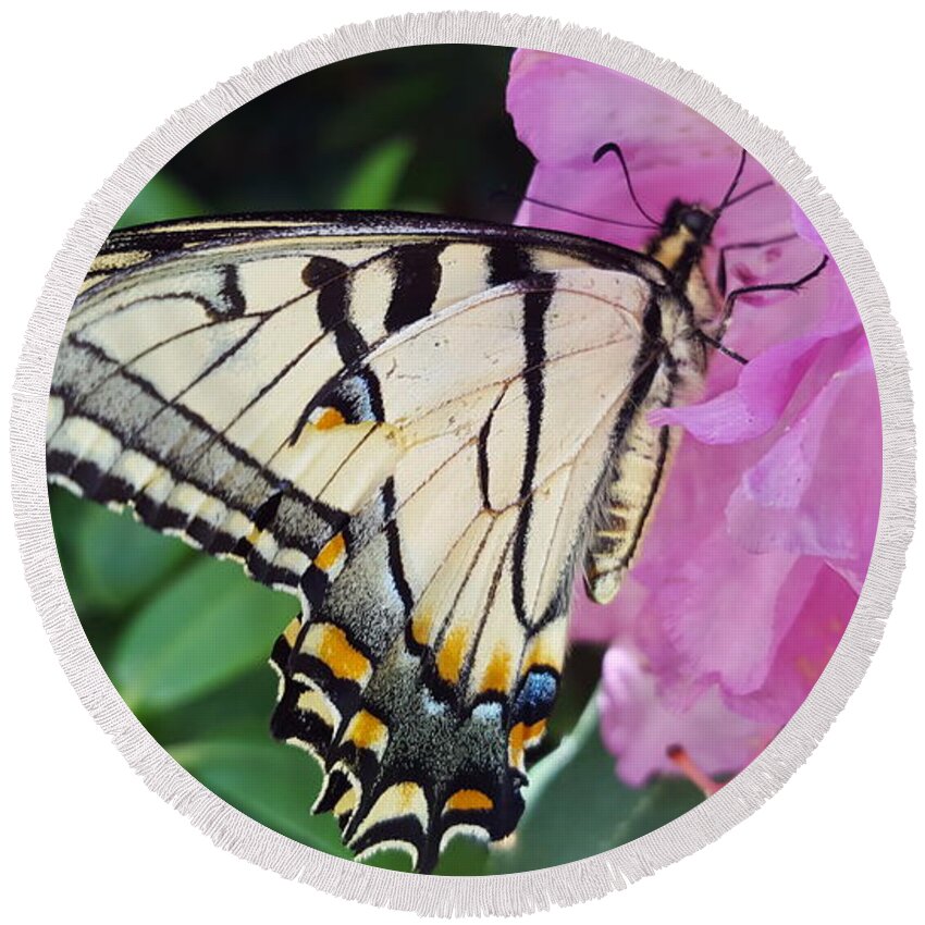 Butterfly Round Beach Towel featuring the photograph Tuesday One by Dani McEvoy