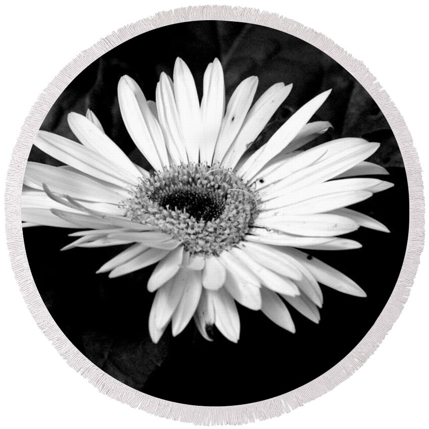 Monochrome Round Beach Towel featuring the photograph Monochrome Flower by David Weeks