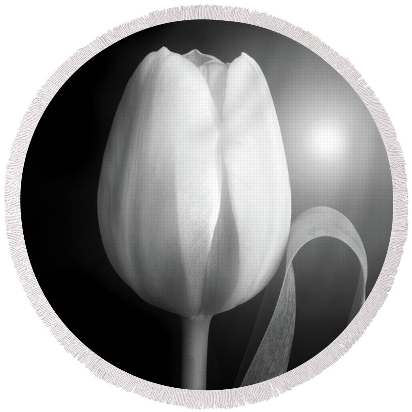 Tulips Round Beach Towel featuring the photograph Monochrome Tulip portrait by Terence Davis