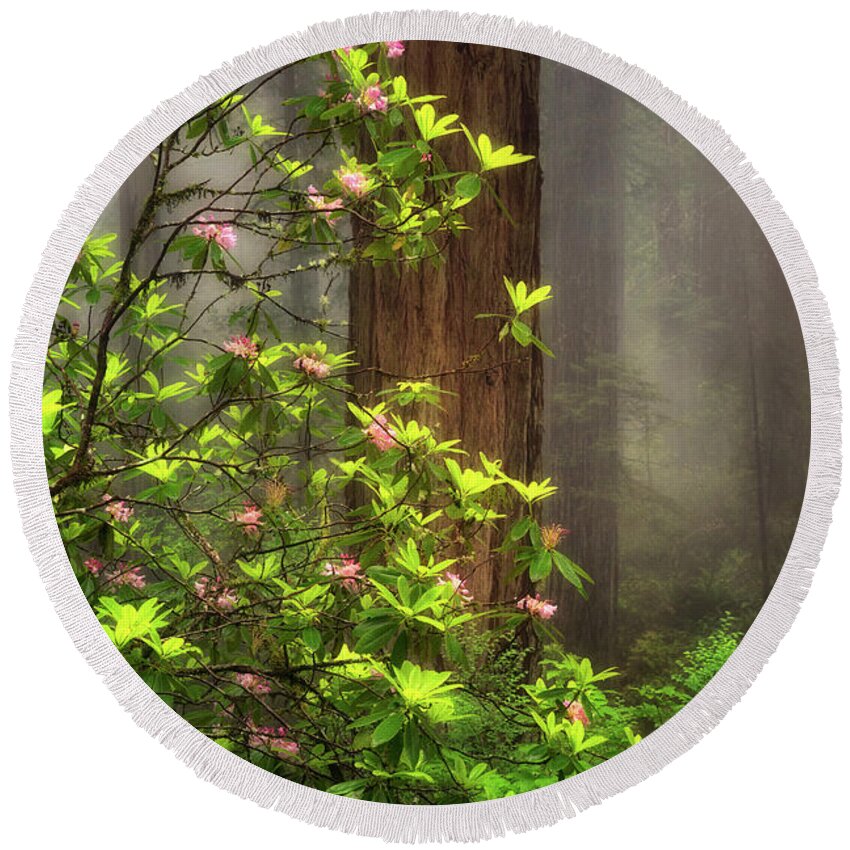 California Round Beach Towel featuring the photograph Moody Forest by Nicki Frates