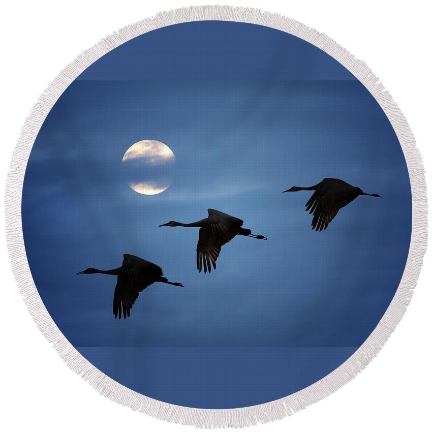 Sandhill Crane Round Beach Towel featuring the photograph Moonlit Flight by Susan Rissi Tregoning