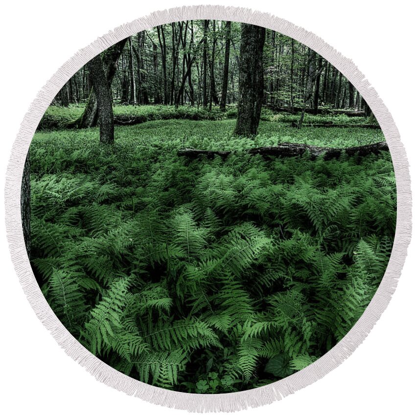 Fern Round Beach Towel featuring the photograph Morning Fern by Mike Eingle