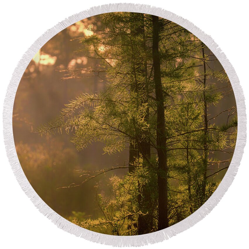 Landscape Round Beach Towel featuring the photograph Morning Light by Todd Ryburn