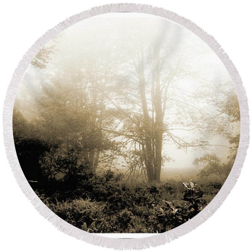 Morning Mist At A Forest Edge Round Beach Towel featuring the photograph Morning Mist by A Macarthur Gurmankin