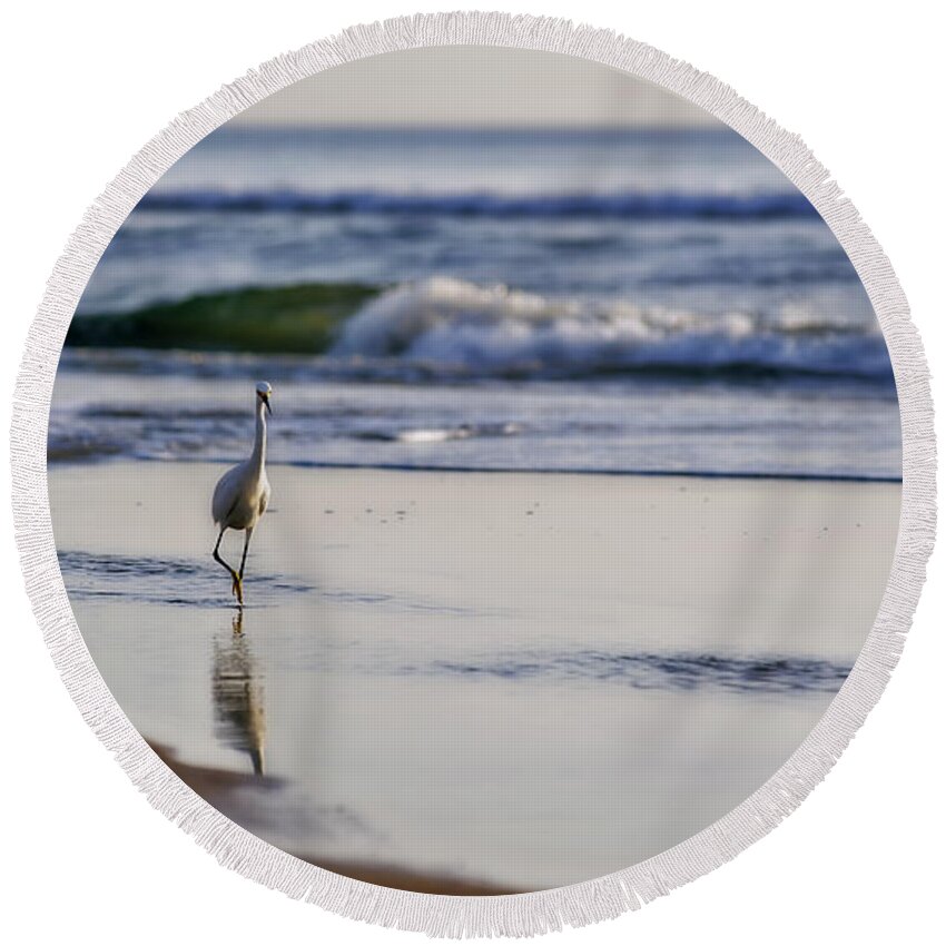 Bird Round Beach Towel featuring the photograph Morning Walk At Ormond Beach by Steven Sparks