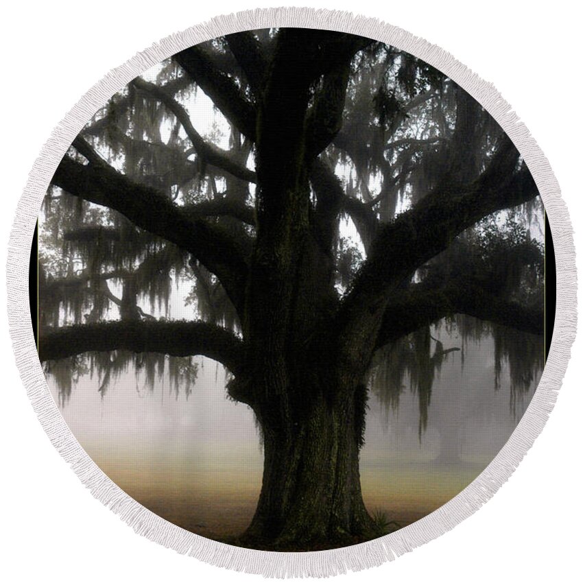 Lowcountry Round Beach Towel featuring the photograph Mossy Oak by Scott Hansen