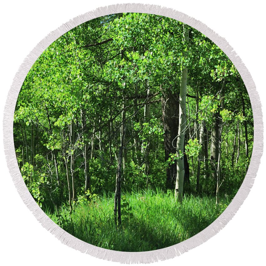 Trees Round Beach Towel featuring the photograph Mountain Greenery by Ron Cline
