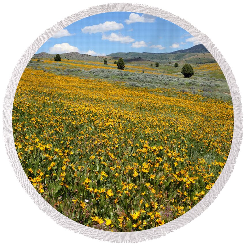 No People Round Beach Towel featuring the photograph Mountain Meadows of Yellow Wildflowers by Brett Pelletier